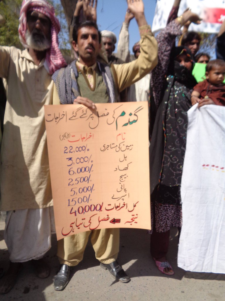 Placard showing per acre cost of wheat production